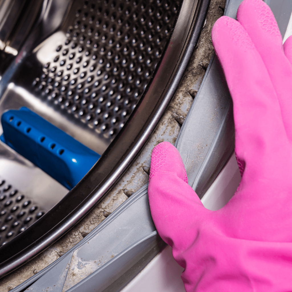 Mold and Mildew on Washing Machine